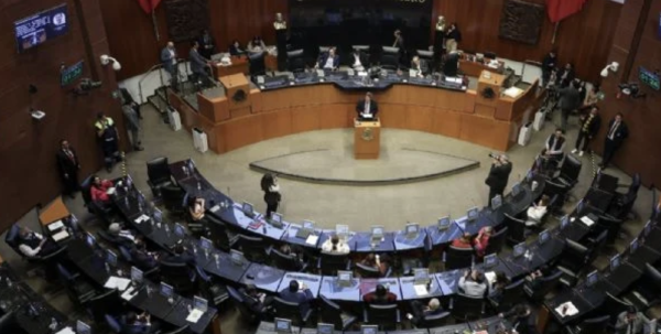 Senadores del PRI y PAN condenan el asesinato de Irma Hernández en Veracruz