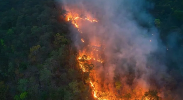 Incendios en Grecia dejan bomberos heridos y obligan a miles de personas a evacuar