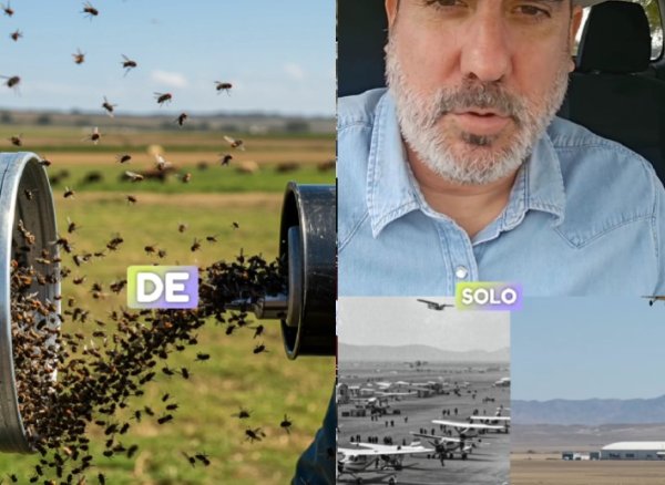 Video: Incumple federación  con planta y presupuesto para proteger ganado de gusano barrenador