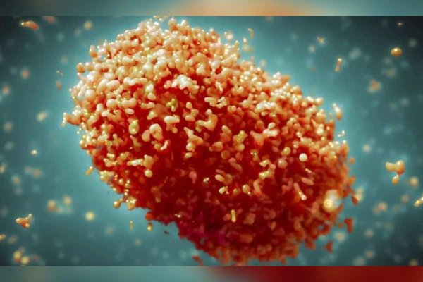 Jalisco confirma primera muerte por Mpox en el año; es el segundo estado con más casos