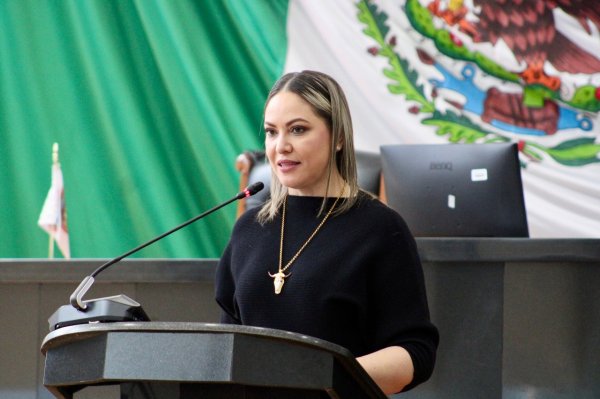 Maru y la Presidenta están organizadas contra el sarampión, que Morena deje de partidizar: GPPAN