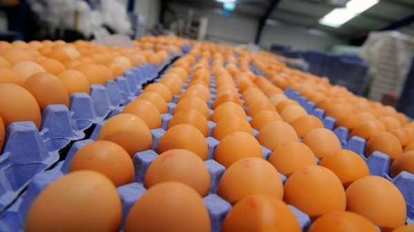 Bachoco imprimirá el sello “Hecho en México” en sus productos