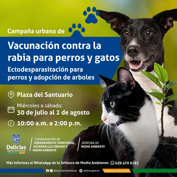 Hoy miércoles inicia campaña de vacunación y desparasitación para mascotas en Delicias