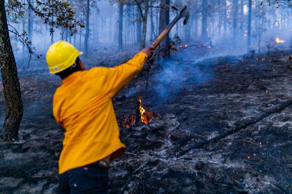 Atienden brigadistas forestales rebrote de incendio en Bocoyna