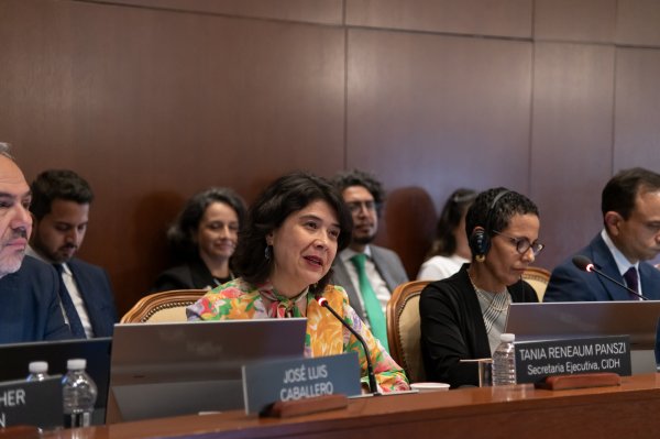 Tania Reneaum es reelecta como secretaria ejecutiva de la CIDH para los próximos cuatro años