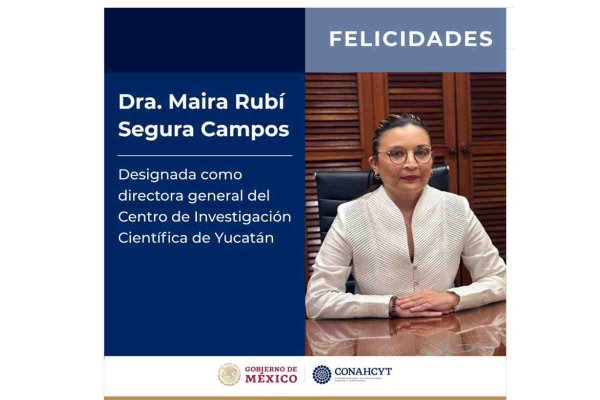 Álvarez-Buylla nombró a directora en Yucatán pese a evaluación más baja; piden a Secretaría de Ciencia revisar designación