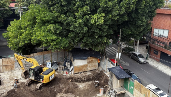 Vecinos exigen a inmobiliaria que no sea talado 