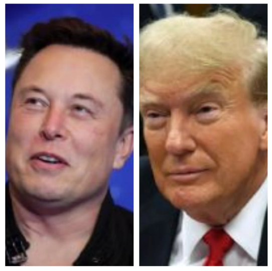 Elon Musk borra su mensaje que vinculaba a Trump con Jeffrey Epstein