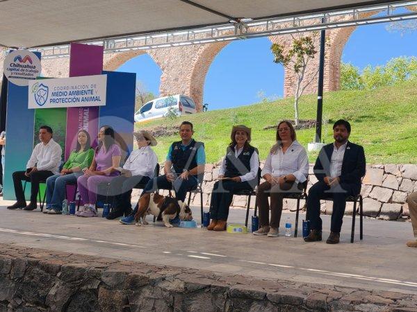 Coordinación de Medio Ambiente y Bienestar Animal anuncia operativo contra maltrato animal y registro municipal de animales de compañía