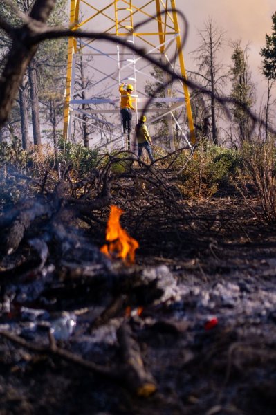 Se han liquidado 500 incendios forestales en el estado durante 2025: SDR