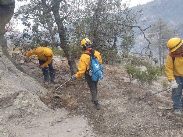 Combaten 165 brigadistas 11 incendios forestales activos en la entidad