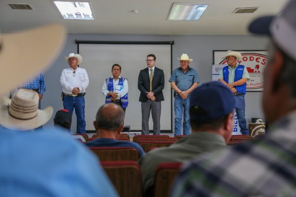 Impulsan Gobierno Estatal e IDEA Delicias acciones preventivas contra el gusano barrenador