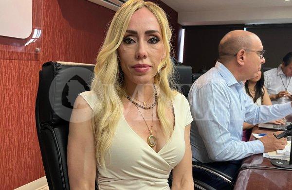 Créditos para puentes ya se habían aprobado, se le fue el tiempo al alcalde en campaña en otros municipios: Brenda Ríos