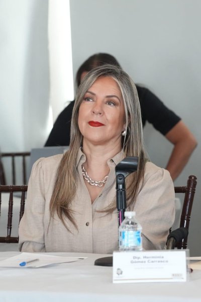 Alarmante 4o lugar en homicidios dolosos: Rosana Díaz