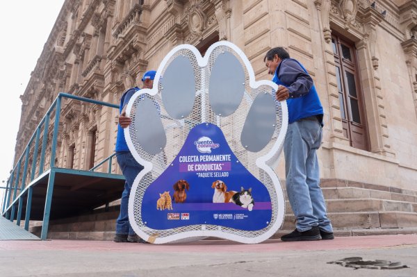 Invita Desarrollo Humano a donar croquetas en apoyo a refugios y rescatistas de animales
