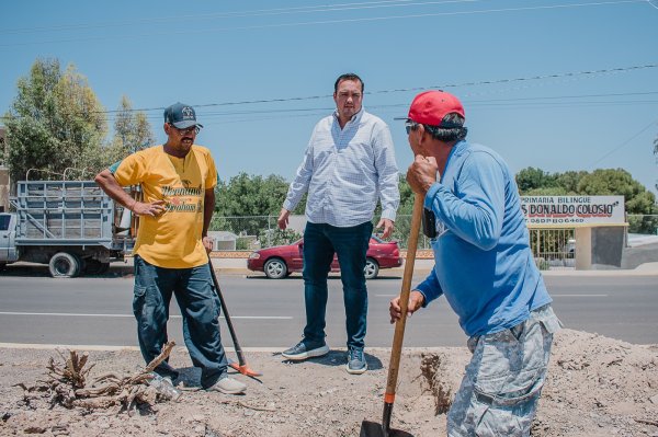 Supervisa Jorge Aldana trabajos de limpieza y reforestación en la avenida González Ortega