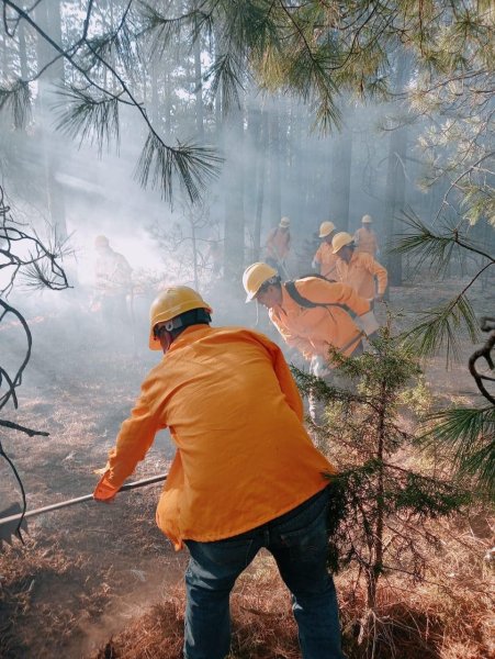 Liquidan brigadistas tres incendios forestales de ayer a hoy