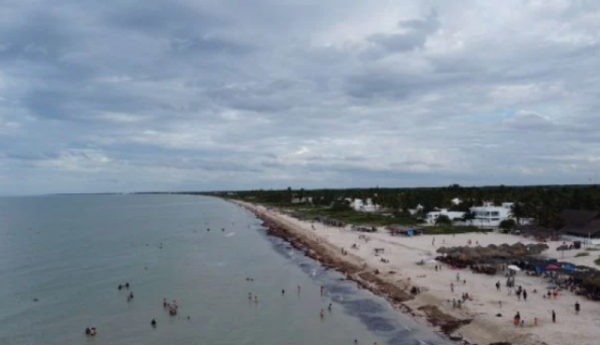 Sargazo alcanzará niveles sin precedentes en playas mexicanas este año, advierte la UNAM