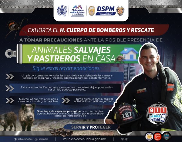 Piden bomberos tomar precauciones con animales silvestres y rastreros que aparecen con las primeas lluvias