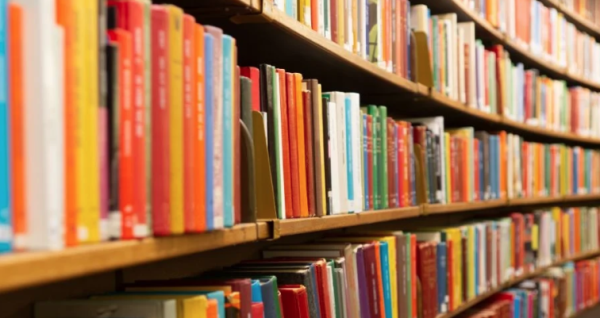 Inteligencia artificial abre las bibliotecas de EU: empresas recurren a libros para enseñarle sobre la humanidad