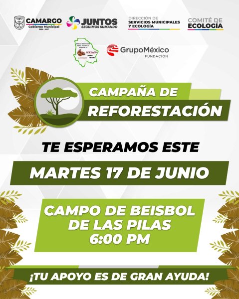 Camargo invita hoy martes a reforestación masiva en el campo de béisbol Las Pilas