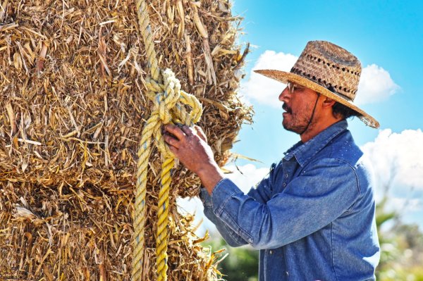 Ofrece Secretaría de Desarrollo Rural financiamientos accesibles para fortalecer el campo