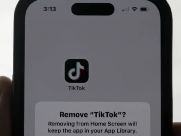 Países Bajos recomienda prohibir uso de TikTok e Instagram a menores de 15 años