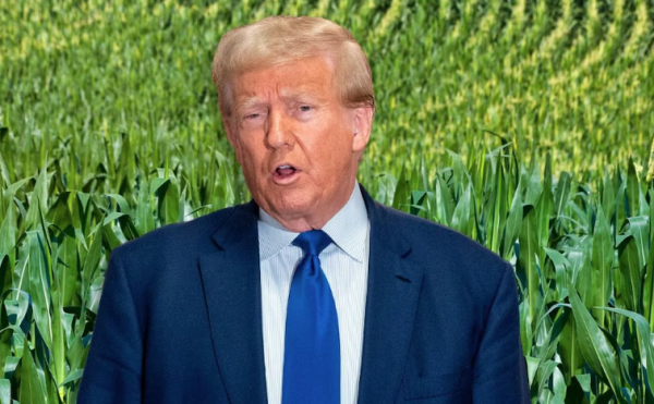 Donald Trump cambia de opinión y reactiva redadas contra el sector agrícola
