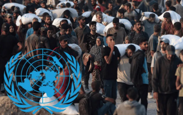 ONU identifica militares de Israel responsables de crímenes en Gaza
