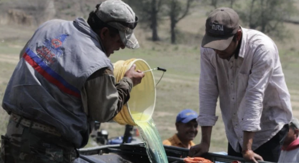 Aseguran más de un millón de litros de 