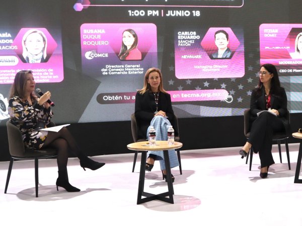 México no puede presentarse ante la revisión del T-MEC con una política improvisada y centralista: Manque Granados