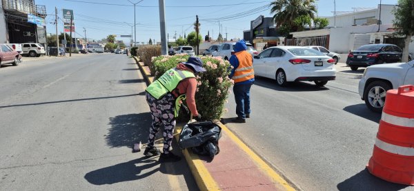 Municipio refuerza limpieza al norte de la ciudad; recolectan diariamente 10 toneladas de residuos