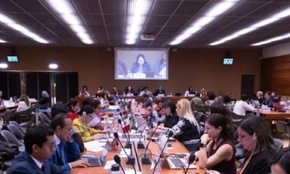 Integrantes de la CEDAW-ONU reconocen acciones del gobierno mexicano en materia de mujeres