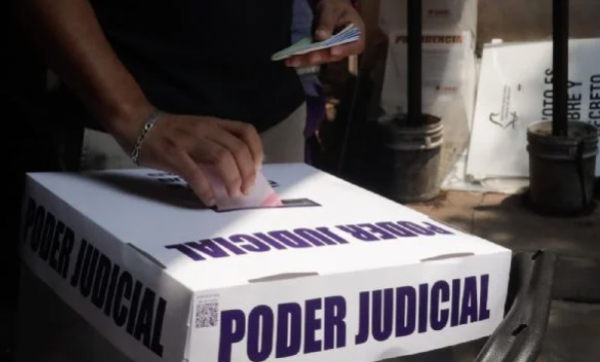 Seis ONG impugnan ante el Tribunal Electoral los resultados de la elección judicial
