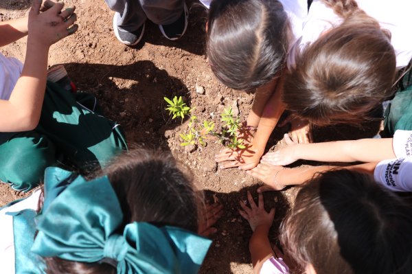Lleva la UACH el cuidado ambiental a escuelas en comunidad de Satevó