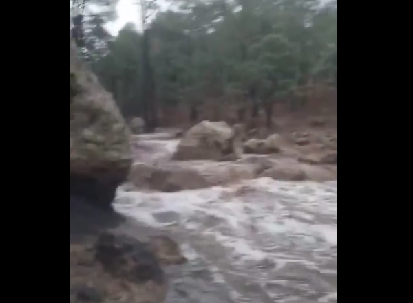 (Video) Tras varios días de lluvia en la Sierra Tarahumara, el Lago de Arareko comienza a recuperarse