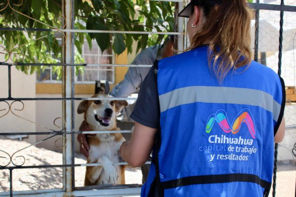 Brinda Municipio más de 400 servicios gratuitos para mascotas en Punta Oriente y Sierra Azul