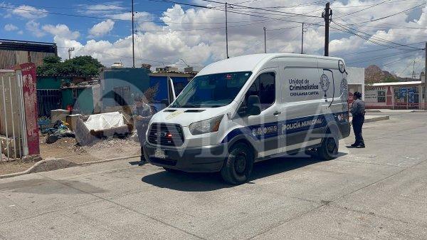 Hombre mata a un perrito a golpes en la colonia Villanueva; fue detenido tras amenazar a policías con un cuchillo