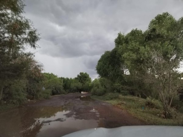 Sin incidentes mayores por lluvias en la capital: Municipio