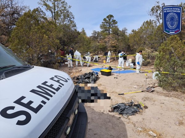 Identificados 12 víctimas de los cuerpos encontrados en fosas de “El Willi” y Ascensión: Vargas