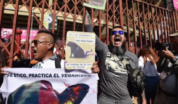 “Atole con el dedo”, la propuesta de corridas de toros sin violencia: Faitelson