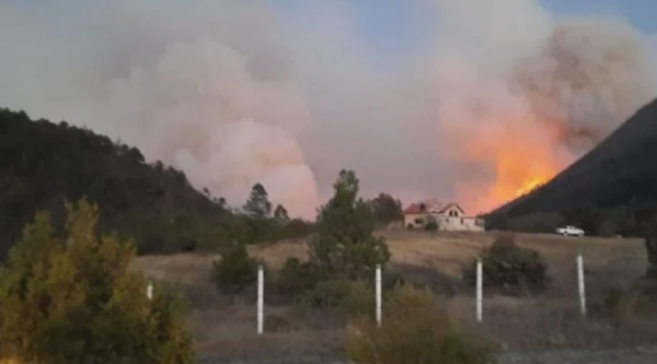 Se desata incendio en Sierra de Arteaga, Coahuila; viento impide que logre ser controlado