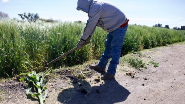 Crisis agroalimentaria en México: sequía, inflación y falta de apoyo al campo