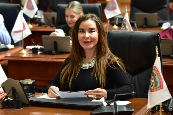 “Irrelevante la detención del CEO de Vitas, saldrá sin pagar un solo peso a defraudados”: María Antonieta Pérez Reyes