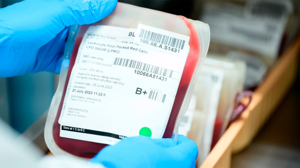 Donar sangre: un acto solidario con beneficios para la salud del donante