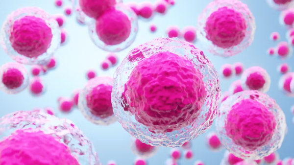 Científicos japoneses logran avances en lesiones medulares con un tratamiento de células madre