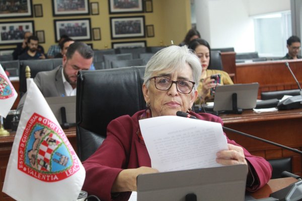 Sociedad necesita actualizarse sobre el espectro del autismo, por sesgo hacia niñas y mujeres, hay mal diagnóstico: diputada Herminia