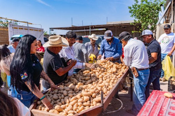 Entregan en Meoqui más de 6 toneladas de papa a comunidades rurales