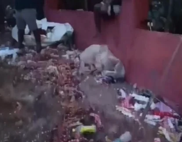 Estampida humana en templo de la India deja seis muertos