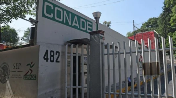 Entrenadores deportivos: el abuso tiene permiso